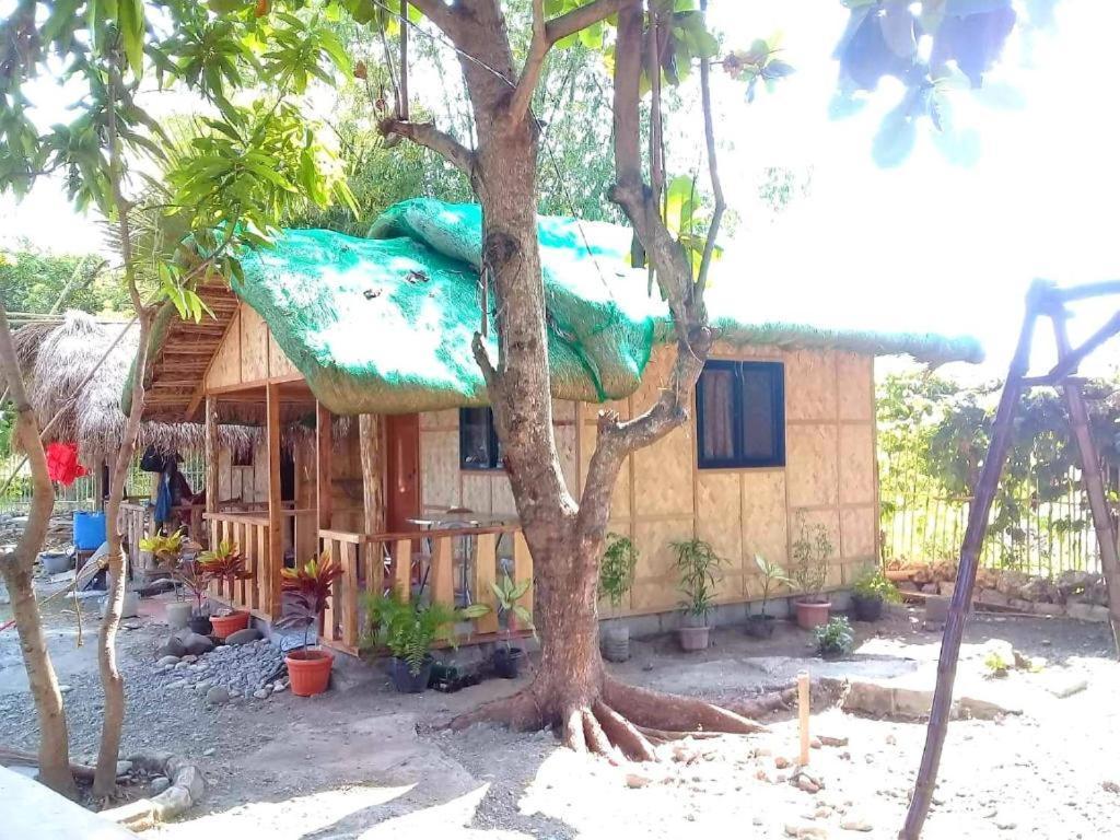 Traditional Filipino Transient House And Huts Near 100 Islands Wharf Alaminos Zewnętrze zdjęcie